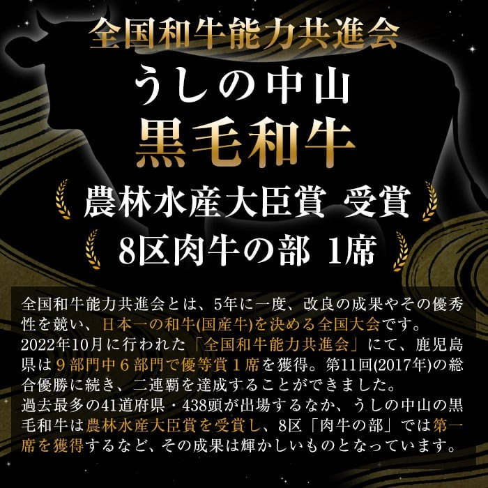 ＜A4・A5等級＞鹿児島県産黒毛和牛 うしの中山 切り落とし焼肉用 500g a9-044
