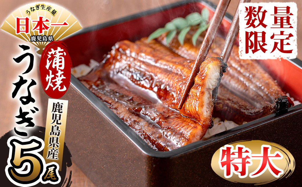 鹿児島県産 伊崎田のうなぎ蒲焼 特大＜190g以上＞× 5尾(計950g以上) c9-001