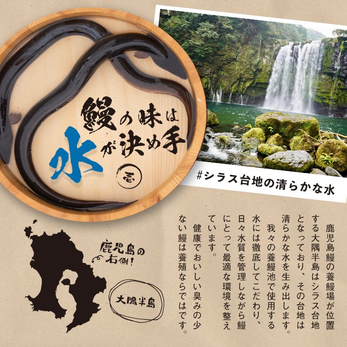 【10営業日以内に発送】鹿児島県産うなぎ蒲焼 名水慈鰻 3尾＜計480g以上＞ うなぎ 鰻 ウナギ 3尾 国産 蒲焼 かばやき 冷凍 真空 真空パック 無頭 うな重 ひつまぶし タレ 山椒 a8-090