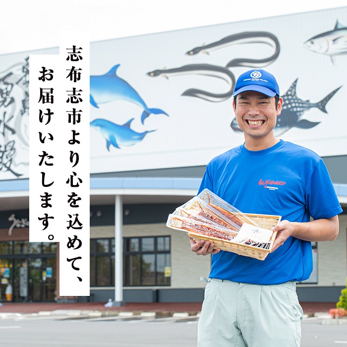 【志布志市人気No.1お礼の品】霧島湧水鰻の蒲焼き 140g以上×3尾＜計420g以上＞ うなぎ 鰻 ウナギ 3尾 国産 九州産 蒲焼き かばやき 冷凍 うな重 ひつまぶし タレ 山椒 ランキング 人気 a6-072