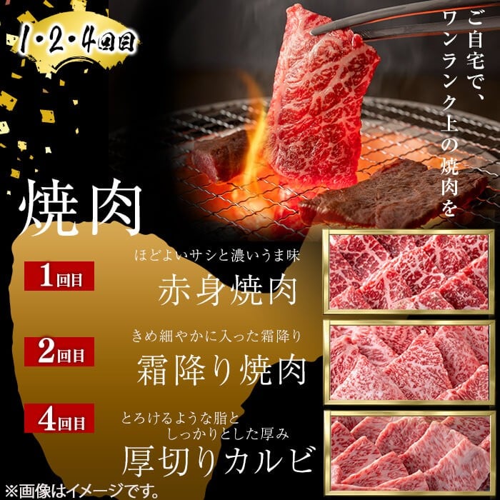 【定期便全6回】＜A4・A5等級＞黒毛和牛堪能〈満足〉定期便（2〜3人分）総重量1.95kg 鹿児島県産 黒毛和牛 和牛 肉 牛肉 国産 九州産 鹿児島県産 焼肉 焼き肉 BBQ A4 A5 赤身 切り落とし カルビ お楽しみ 食べ比べ ハンバーグ ミスジ 霜降り ステーキ 2人前 3人前 t0069-001