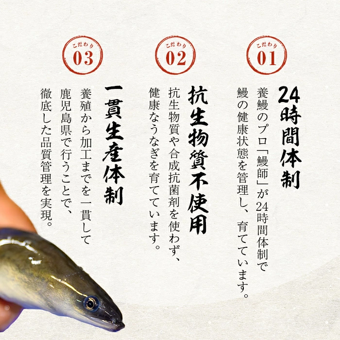 縲千┌阮ャ鬢企ーサ縲 鮖ソ蜈仙ウカ逕」 螻ア逕ー縺ョ縺縺ェ縺 シ懆ィ480g莉・荳奇シ橸シ160g莉・荳甘3蟆セシ 縺縺ェ縺 魏サ 繧ヲ繝翫ぐ 辟。阮ャ 鬢企ーサ 辟。謚戊脈 3蟆セ 蝗ス逕」 荵晏キ樒肇 闥イ辟シ縺 縺九ー繧縺 蜀キ蜃 縺縺ェ驥 縺イ縺、縺セ縺カ縺 繧ソ繝ャ 螻ア讀 a6-062