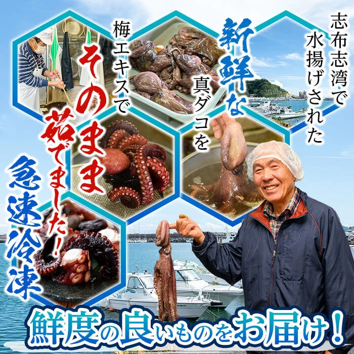 【数量限定】志布志湾ボイル済たこブロック 約750g(約250g×3P) a6-054