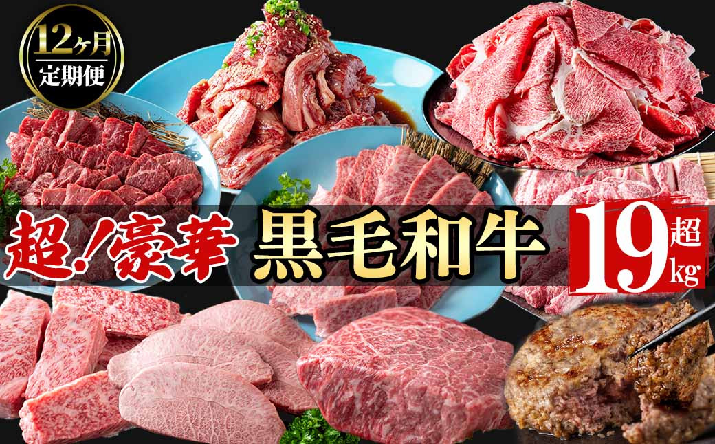 【定期便全12回】超豪華！黒毛和牛堪能贅沢定期便！(総重量19kg超) t0365-001