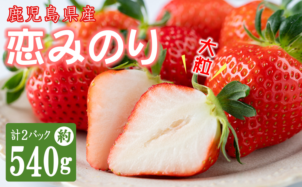 【数量限定】鹿児島県産朝採れイチゴ「恋みのり」約540g(約270g×2パック) いちご イチゴ 苺 果物 フルーツ スイーツ デザート お菓子 人気 甘い 大粒 ジャム スムージー p7-048