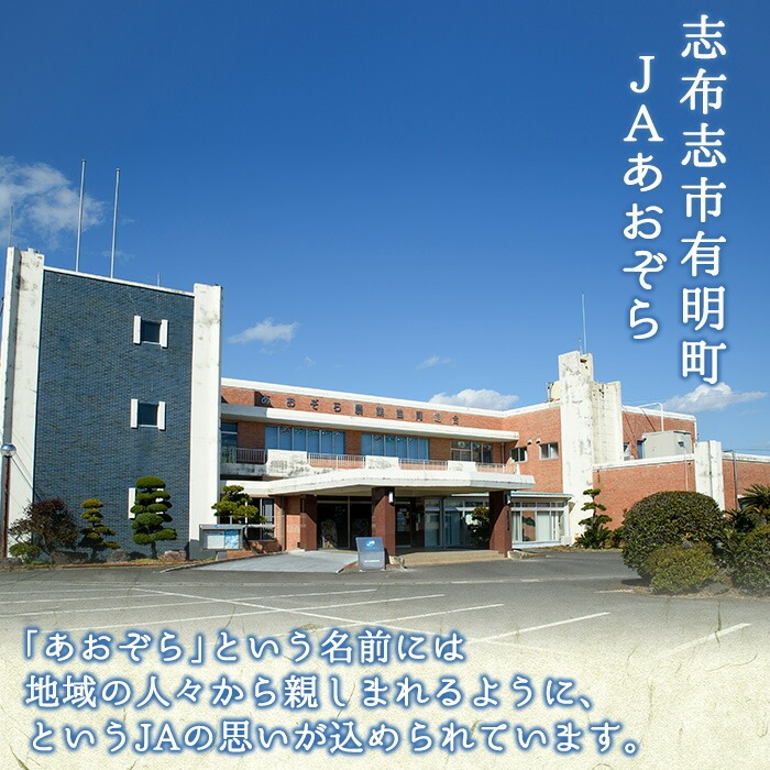 çãè èš800g(80gÃ10è¢)æ¥æ¬èŸ²æ¥æ°èäžæéžå倧è³ãåè³ããå¹²ãè!ãå¹²ãè ã»ããã å¹²ããã ãèå ãã〠ãã€ãŸãã ãã€ãŸè çŽ
ã¯ãã åœç£ ä¹å·ç£ 鹿å
å³¶çç£ å°åã ã¹ã€ãŒã ã©ã³ãã³ã° äººæ° åžžæž© åžžæž©ä¿å a7-024