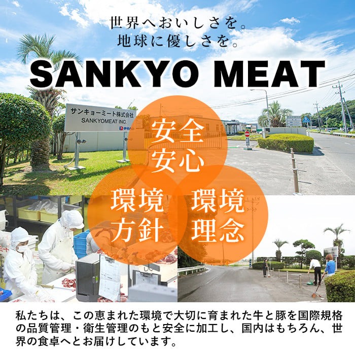 九州産豚ヒレ 5本＜計2kg以上＞ a5-309