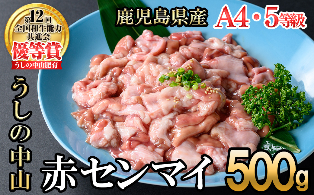 うしの中山 A4・A5等級黒毛和牛 赤センマイ（ギアラ）計500g（500g×1P）p9-033