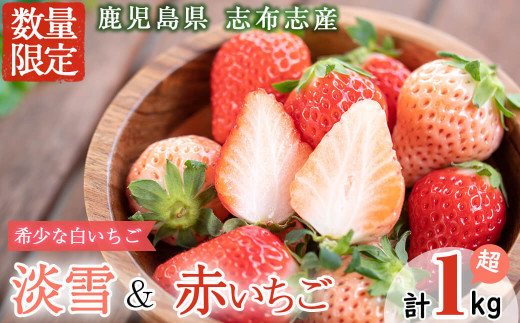 〈先行予約受付中!〉鹿児島県産いちご!志布志発祥白いちご「淡雪」2Pと季節おまかせ赤いちご2Pセット(計1kg・約270g×4P) a5-053