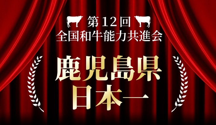 鮖ソ蜈仙ウカ逵檎肇鮟呈ッ帛柱迚帙☆縺咲┥縺崎i襍、霄ォ阮蛻繧願i(1莠コ蜑200g/200gテ1P) a3-239