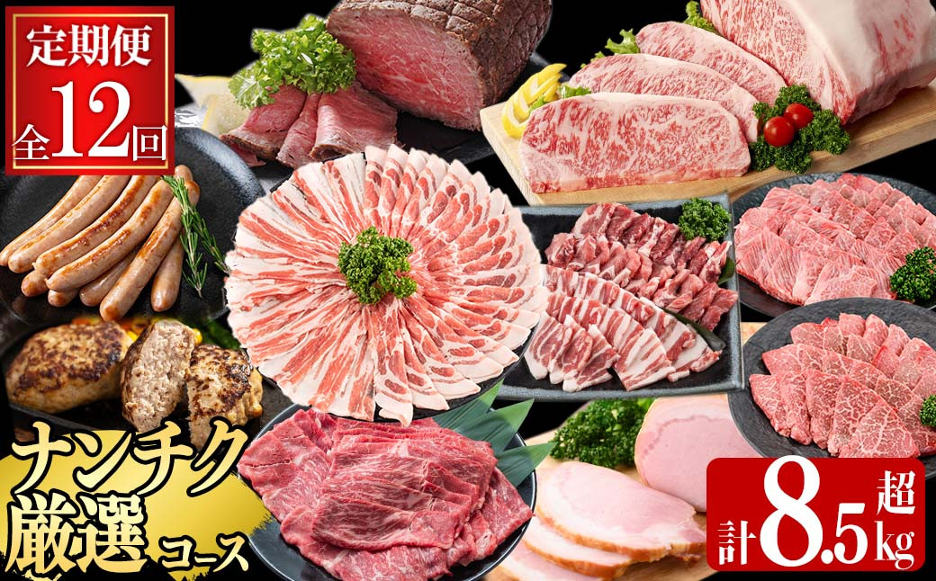 【定期便・全12回】ナンチクのお肉を楽しむ定期便！ナンチク厳選コース！ 総量8.5kg超! t0165-001