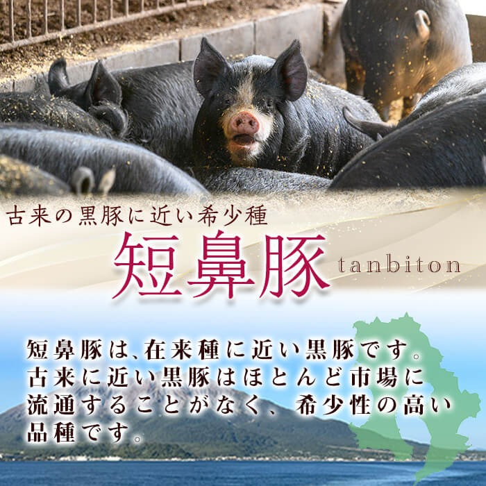 【無添加】【ギフト対応】「福別府農場」鹿児島黒豚無添加スモークウインナー 計500g(100g×5P) a4-095