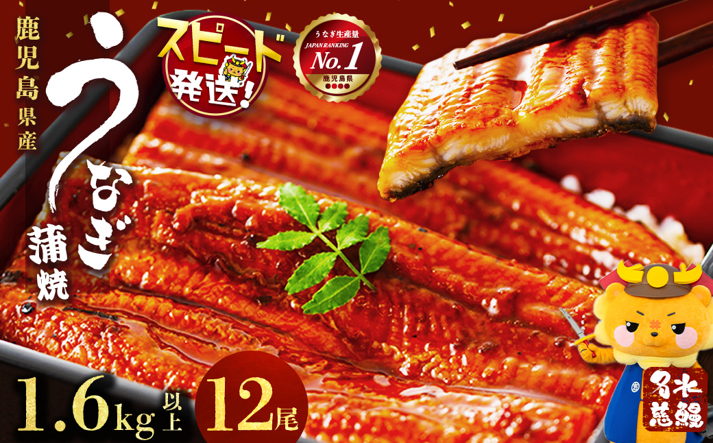 【数量限定】鹿児島県産うなぎ蒲焼 名水慈鰻 12尾(1尾約120g以上)＜計約1.6kg以上＞ f2-003