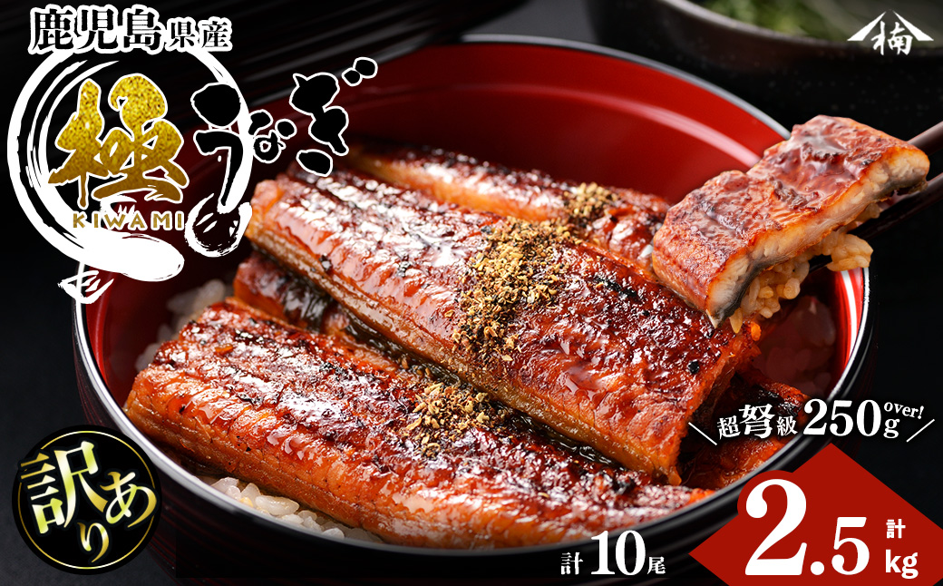 【訳あり】楠田の極うなぎ蒲焼き10尾(計2.5kg以上・1尾あたり250g～289g)  j7-002