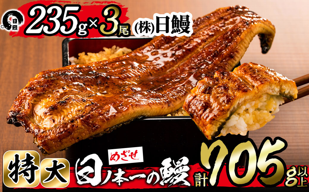日ノ本一の鰻の蒲焼き＜特大＞3尾セット(計705g以上) c2-009