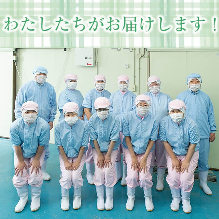 【訳あり】【数量限定】鹿児島県産熟成紅はるかの冷凍焼き芋(計1kg) p7-026