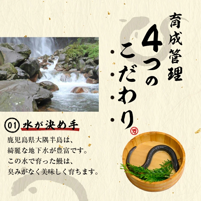 【3月末までに配送】【お礼の品人気No1】霧島湧水鰻の蒲焼き 140g以上×5尾＜計700g以上＞ b2-048-03