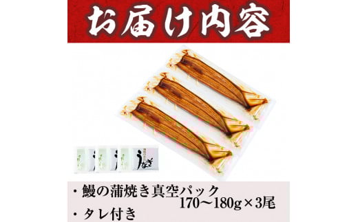 ããªãã®å€§æ¥ ïŒç¹å€§ïŒ3å°Ÿã»ããèš510g(170gÃ3) b3-005