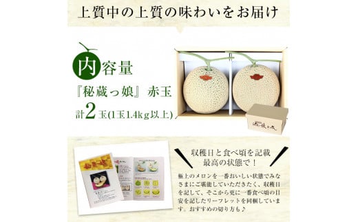 【春限定】極上メロン「秘蔵っ娘」赤玉(赤肉)2個 メロン マスクメロン 果物 くだもの デザート 赤肉 b5-036-s