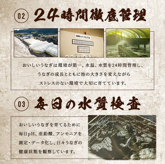 ãã®ãã察å¿ããæ°ééå®ã鹿å
å³¶çç£ãäŒåŽç°ã®ããªãïŒ130g以äžïŒÃ3å°Ÿ(390g以äž) b2-035