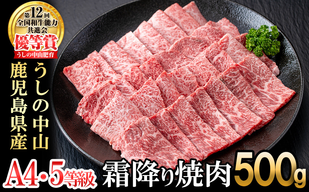＜A4・A5等級＞鹿児島県産黒毛和牛 うしの中山 霜降り焼肉用 500g b4-014