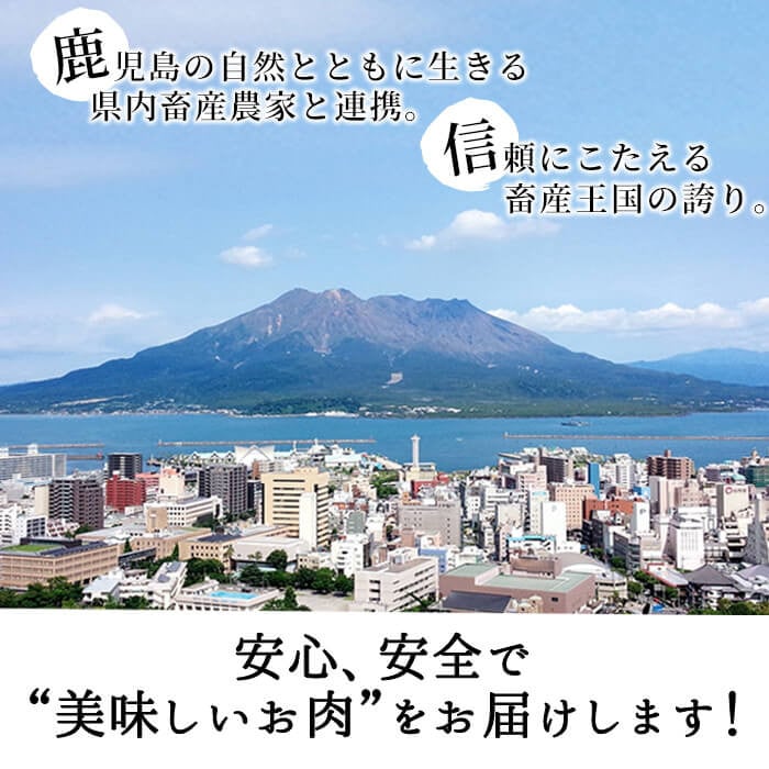 b5-142 鹿児島黒牛赤身すきやき用 計900g