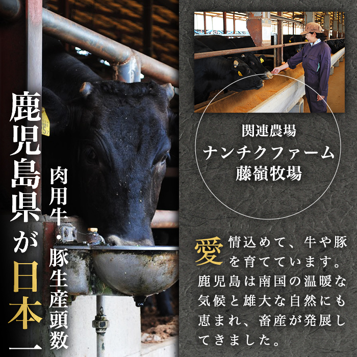 ã®ããã«æé©ã極äžããŒã¹ãããŒã b0-169