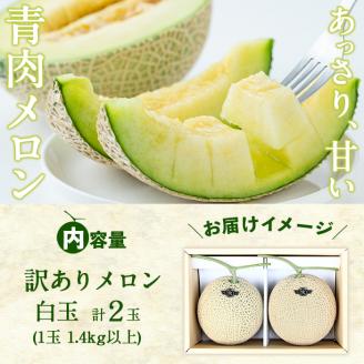 【訳あり・数量限定】牧さんの訳ありメロン 白玉(青肉)計2玉 メロン マスクメロン 果物 くだもの デザート 青肉 訳あり b0-106