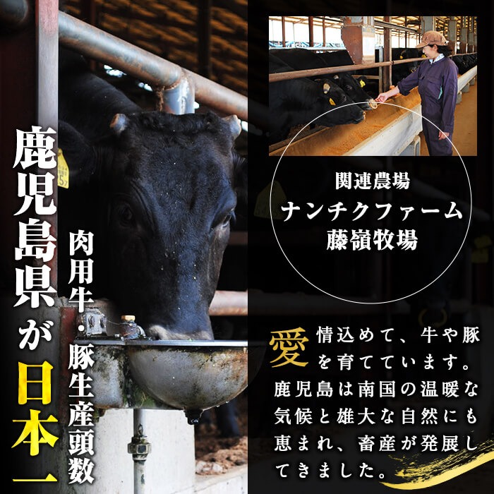 鹿å
å³¶çç£ é»æ¯åç倧å€ããŒã¹(1æãããçŽ200gÃ2æ èš400g) a5-333