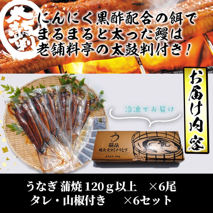 【数量限定】鹿児島県産！秘伝のスタミナうなぎ蒲焼き＜計6尾・計720g以上＞ c9-008