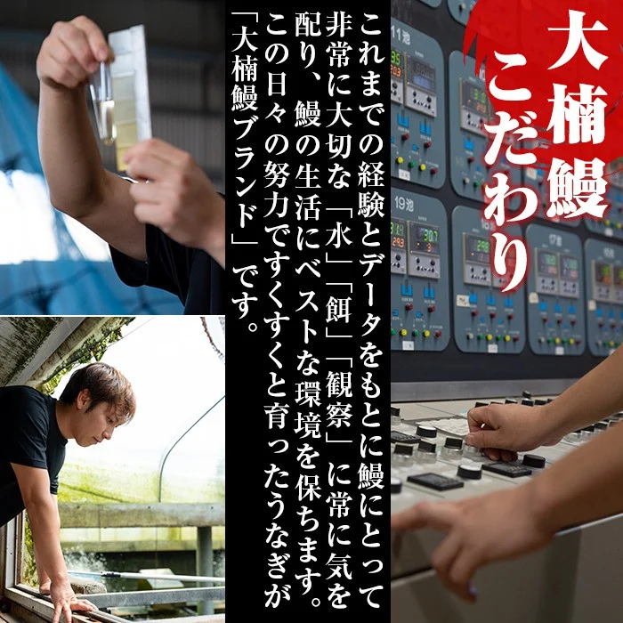 うなぎの大楠＜大＞10尾セット計1.5kg(150g×10尾) うなぎ 鰻 ウナギ 国産 九州産 蒲焼き かばやき 冷凍 うな重 ひつまぶし タレ 山椒 真空パック ランキング 人気 f7-001