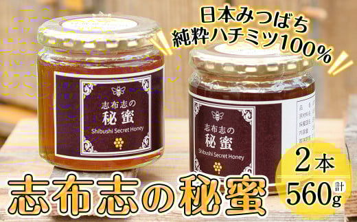 日本みつばちの純粋蜂蜜＜志布志の秘蜜＞計560g(280g×2本) b2-003