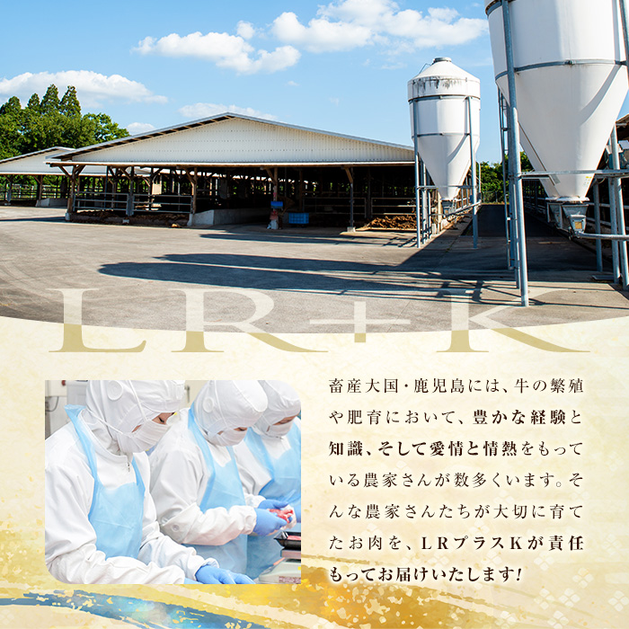 鹿å
å³¶çç£ è±è ãã©ãšã㣠ã»ãã6çš® èš5.4kg è è±è å°åã ã»ãã ãã©ãšãã£ãŒ é£ã¹æ¯ã¹ ãã©ã¹ã©ã€ã¹ ããŒã¹ è©ããŒã¹ çŒè è±ãã© ãã³ã å·å ããã¶ããã¶ ã€ãã çãç© b5-201