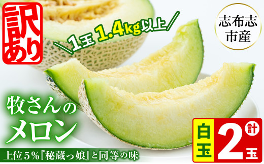 【春限定・数量限定】牧さんの訳ありメロン 白玉(青肉)計2玉 b0-106-s
