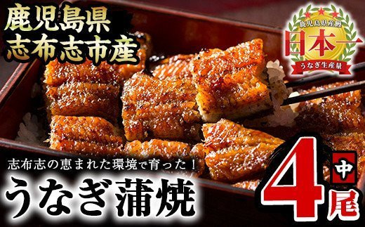 うなぎの大楠＜中＞4尾セット計520g(130g×4) b5-171