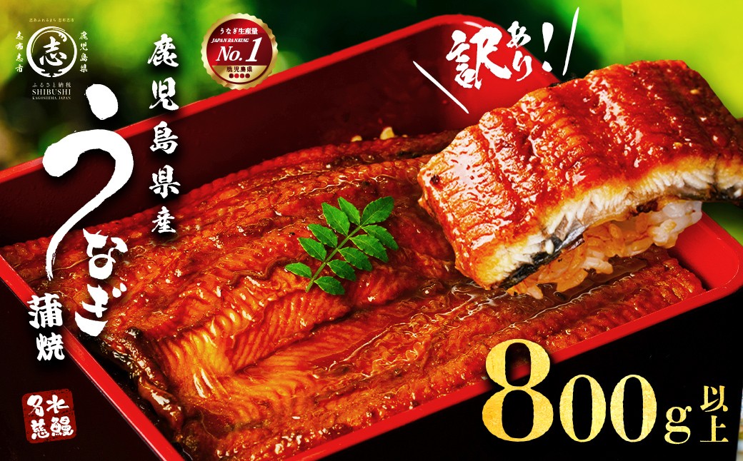 【訳あり・数量限定】復活！不揃いのうなぎ達 計800g以上(鹿児島県産 鰻の蒲焼き)　うなぎ 鰻 ウナギ 不揃い ふぞろい 訳アリ 国産 九州産 蒲焼 蒲焼き かばやき 冷凍 うな重 ひつまぶし 人気 b2-040