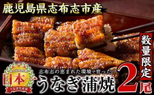 【数量限定】うなぎの大楠＜小＞2尾セット計220g以上(110g以上×2) a1-071