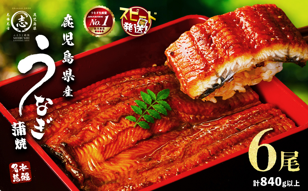 鹿児島県産うなぎ蒲焼 名水慈鰻 6尾＜計840g以上＞ うなぎ 鰻 ウナギ 6尾 国産 蒲焼 かばやき 冷凍 真空 真空パック 無頭 うな重 ひつまぶし タレ 山椒 c3-024