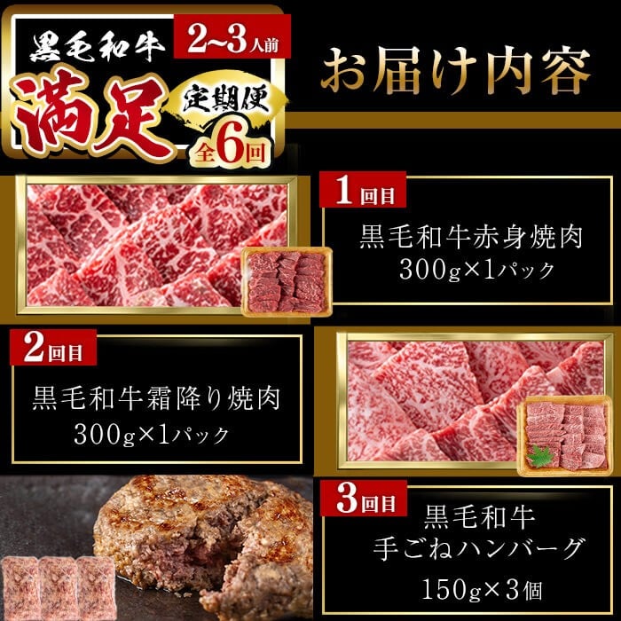 【定期便全6回】＜A4・A5等級＞黒毛和牛堪能〈満足〉定期便（2〜3人分）総重量1.95kg 鹿児島県産 黒毛和牛 和牛 肉 牛肉 国産 九州産 鹿児島県産 焼肉 焼き肉 BBQ A4 A5 赤身 切り落とし カルビ お楽しみ 食べ比べ ハンバーグ ミスジ 霜降り ステーキ 2人前 3人前 t0069-001