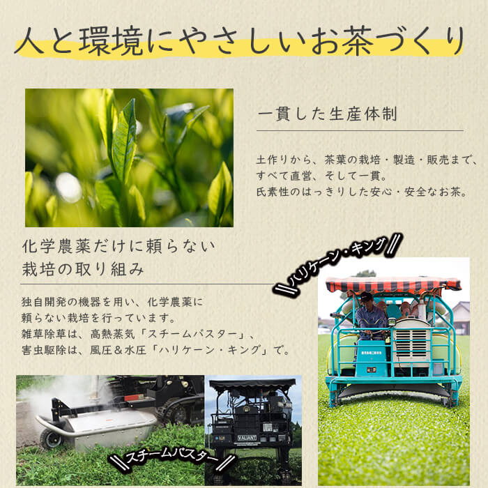 急須いらずの緑茶2点セット(粉末茶・ティーバッグ)　鹿児島県産 国産 あらびき茶 緑茶 茶葉 粉茶 飲み比べ お茶 ティー 簡単 手軽 p7-028