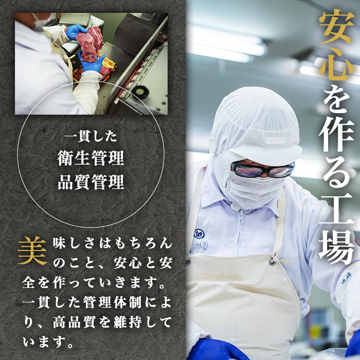 ã鹿å
島黿¯åçãæ¥µäžããŒã¹ãããŒã(500g) b0-170