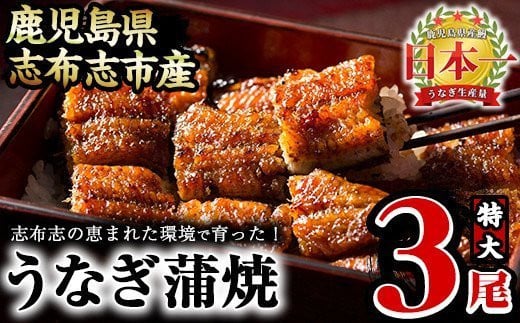 うなぎの大楠＜特大＞3尾セット計510g(170g×3) b3-005