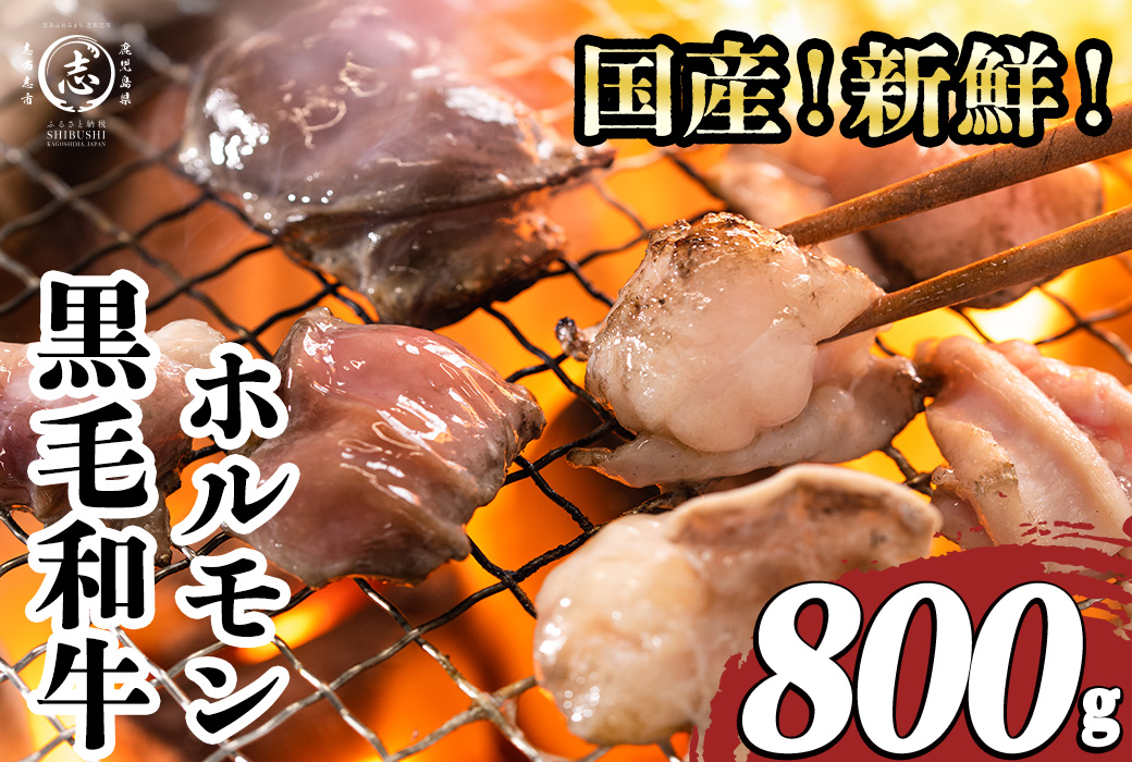 国産黒毛和牛ホルモン 焼肉用 (400g×2P計800g) a1-153