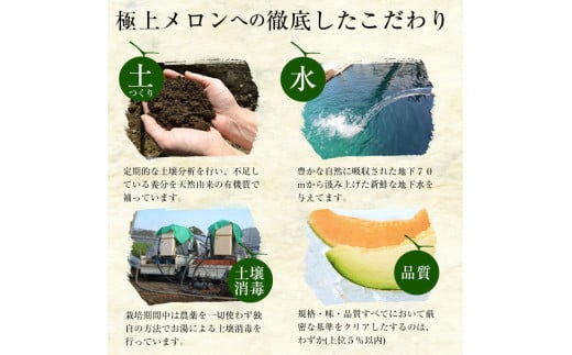 【春限定】極上メロン「秘蔵っ娘」白玉(青肉)2個 メロン マスクメロン 果物 くだもの デザート 青肉 b5-037-s