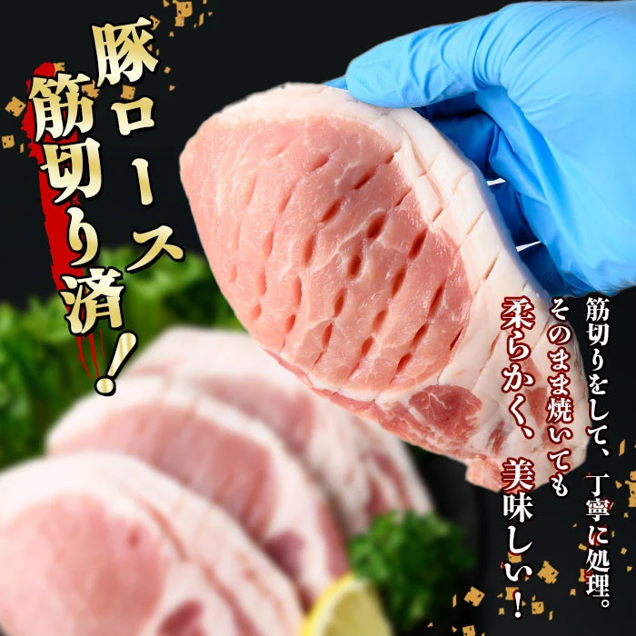 小分け・真空パック!九州産豚肉3種(計3.1kg) a5-319