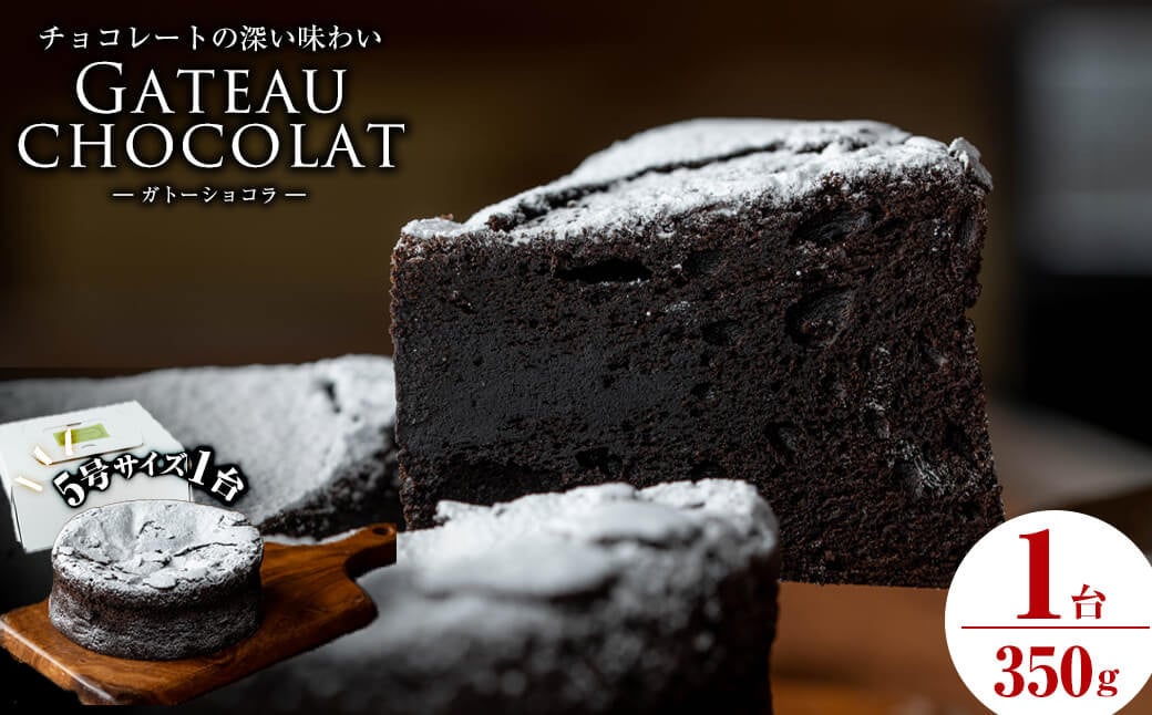 ガトーショコラ5号(350g) a1-111