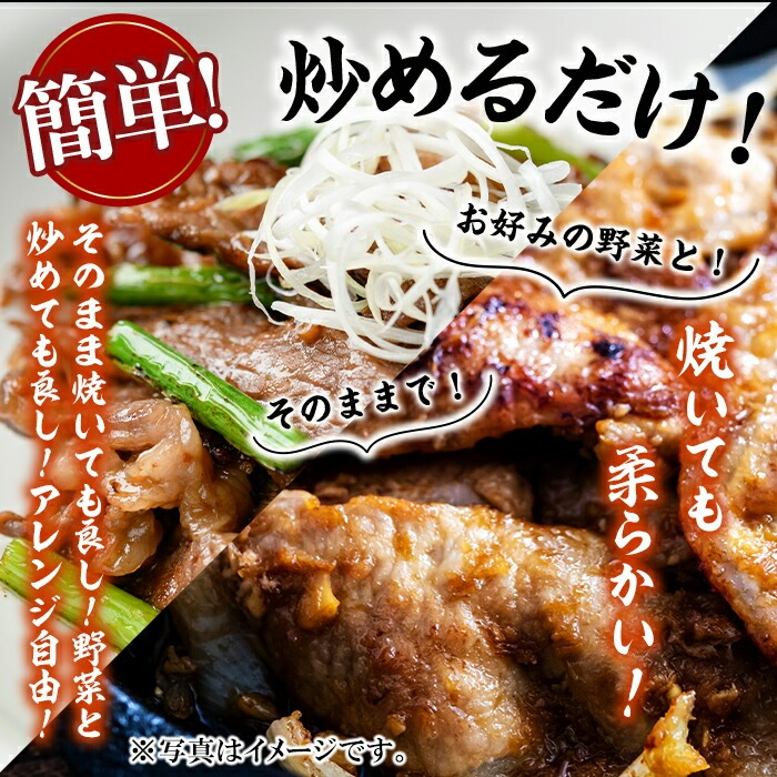 九州産豚ロース(生姜焼き・味噌漬け/各100g×3P 計6P 600g)?国産 九州産 豚 豚肉 生姜焼き 味噌漬け 味付け 肉 味付け肉 簡単 焼くだけ 小分け 冷凍 おかず お弁当 a0-376