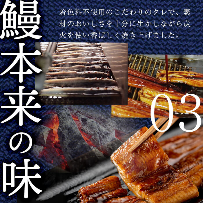 ããªãã®æ³æŸ€ æµæ°Žæ¡ããªãã®è²çŒã èš3å°ŸïŒèš360gïŒ a4-096