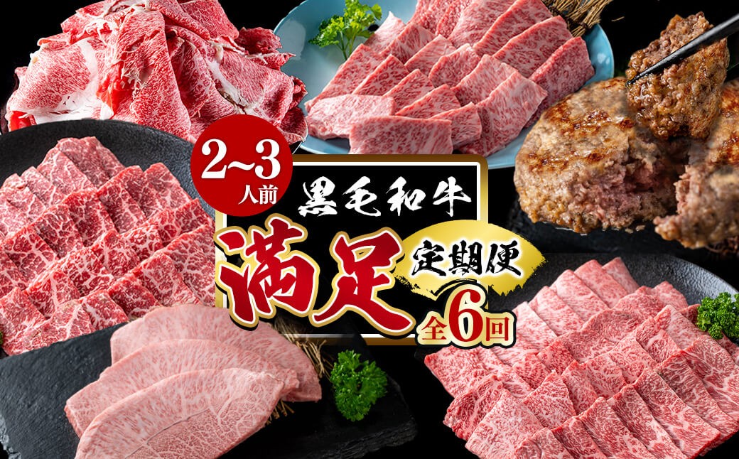 【定期便全6回】＜A4・A5等級＞黒毛和牛堪能〈満足〉定期便（2〜3人分）総重量1.95kg t0069-001