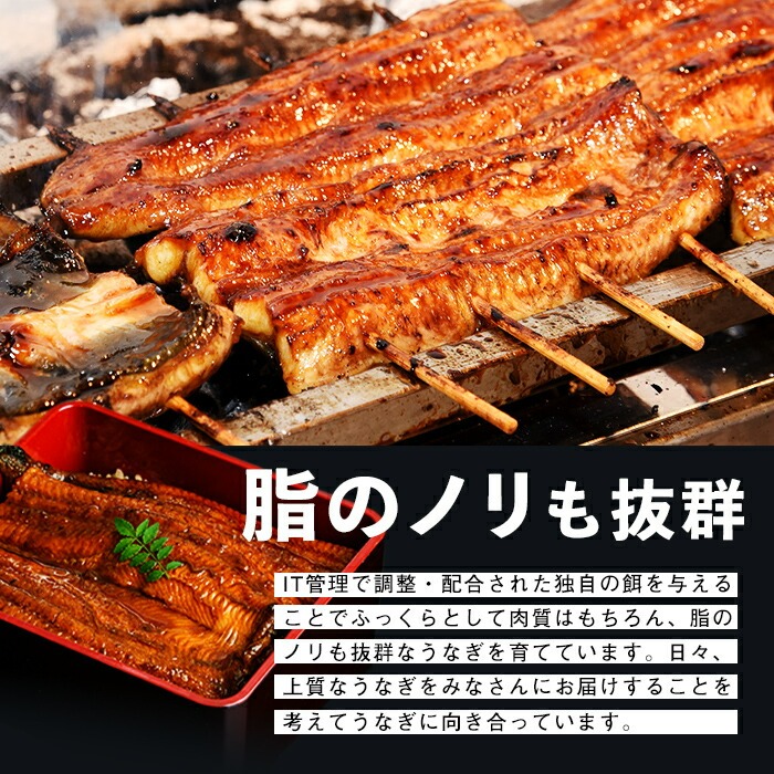 鹿児島県産うなぎ蒲焼 名水慈鰻 上9尾(1尾160g以上)＜計1.4kg以上＞ e0-060
